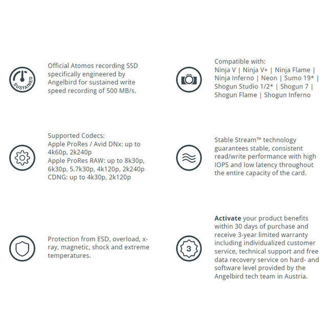 Angelbird 1TB AtomX SSDmini