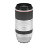 Canon RF 100-500mm f/4.5-7.1 L IS USM Lens