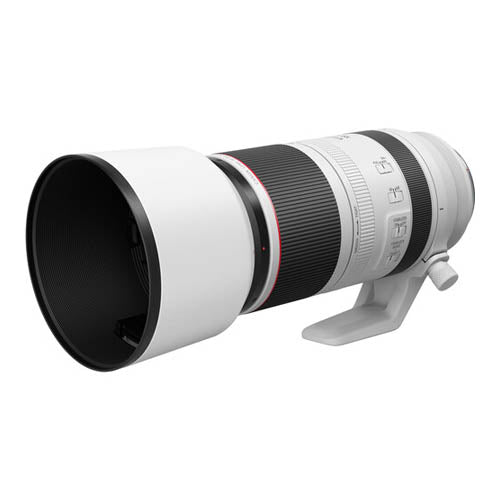 Canon RF 100-500mm f/4.5-7.1 L IS USM Lens