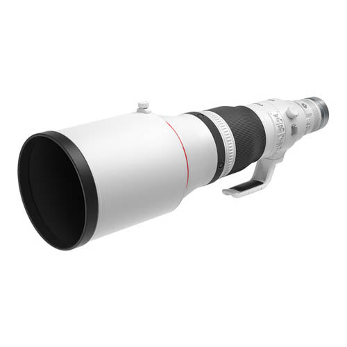 Canon RF 600mm f/4 L IS USM Lens