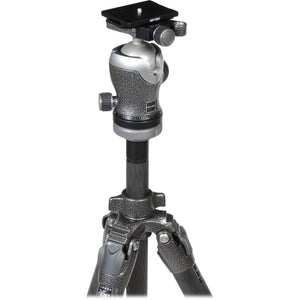 Gitzo GK2542-82QD Mountaineer Series 2 Carbon Fiber Tripod with Center Ball Head