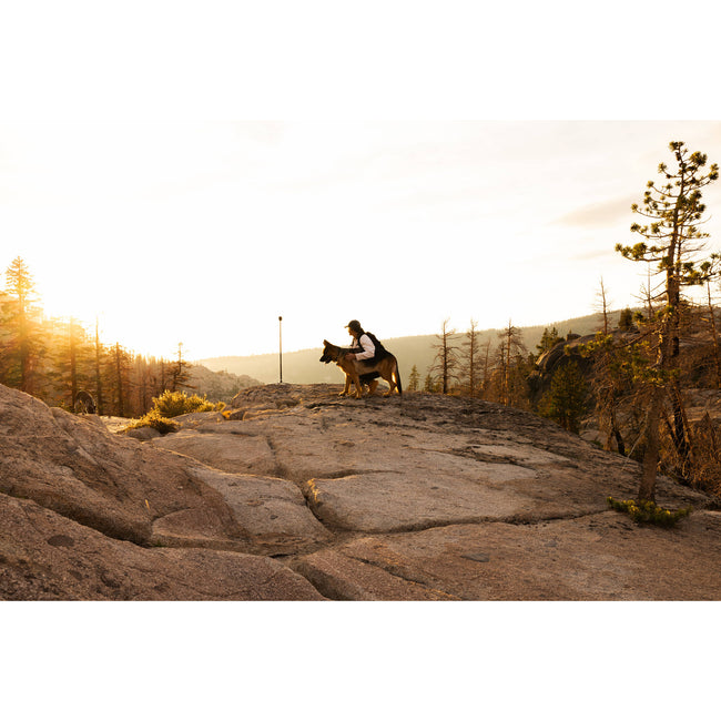 GoPro Mini Tripod with Ball Head