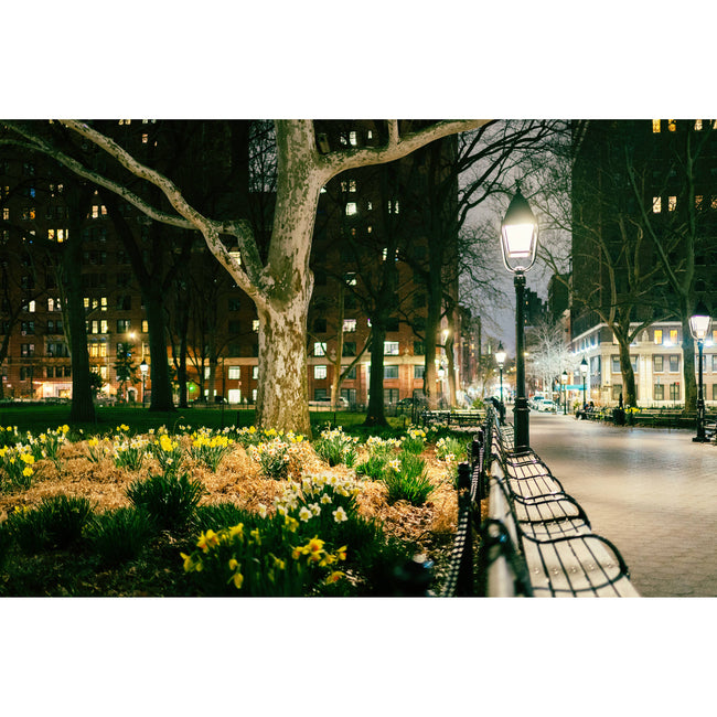 Nikon NIKKOR Z 35mm f/1.4 Lens (Nikon Z)