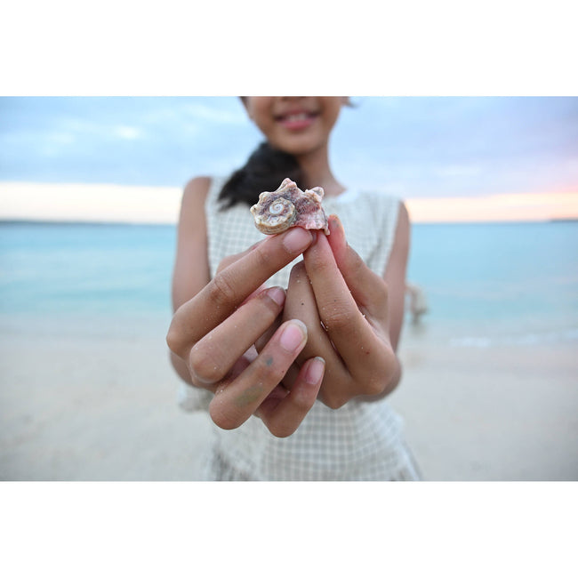 Nikon NIKKOR Z DX 16-50mm f/2.8 VR Lens (Nikon Z)