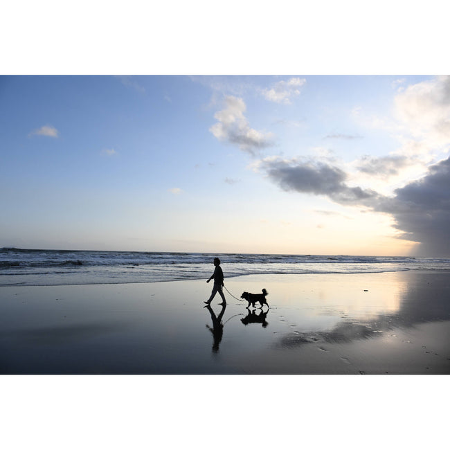 Nikon NIKKOR Z DX 16-50mm f/2.8 VR Lens (Nikon Z)