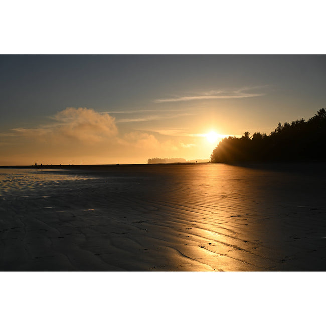 Nikon NIKKOR Z DX MC 35mm f/1.7 Lens (Nikon Z)