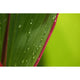 Thumbnail 70