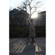 Thumbnail 26