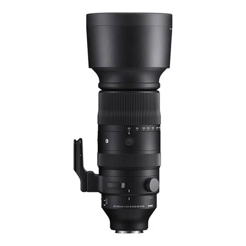 Sigma 60-600mm f/4.5-6.3 DG DN OS Sports Lens for Sony E