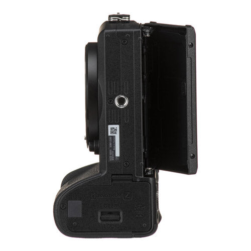 Sony Alpha 6600 (ILCE-6600) Mirrorless Camera (Body Only) – RetinaPix.com