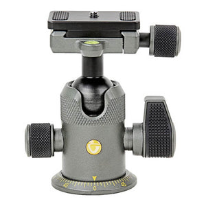 Vanguard Alta Pro 2+ 263AB100 Aluminum-Alloy Tripod Kit with Alta BH-100 Ball Head