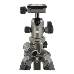 Vanguard Alta Pro 2+ 263AB100 Aluminum-Alloy Tripod Kit with Alta BH-100 Ball Head