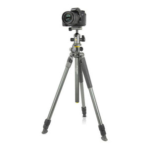 Vanguard Alta Pro 2+ 263AB100 Aluminum-Alloy Tripod Kit with Alta BH-100 Ball Head